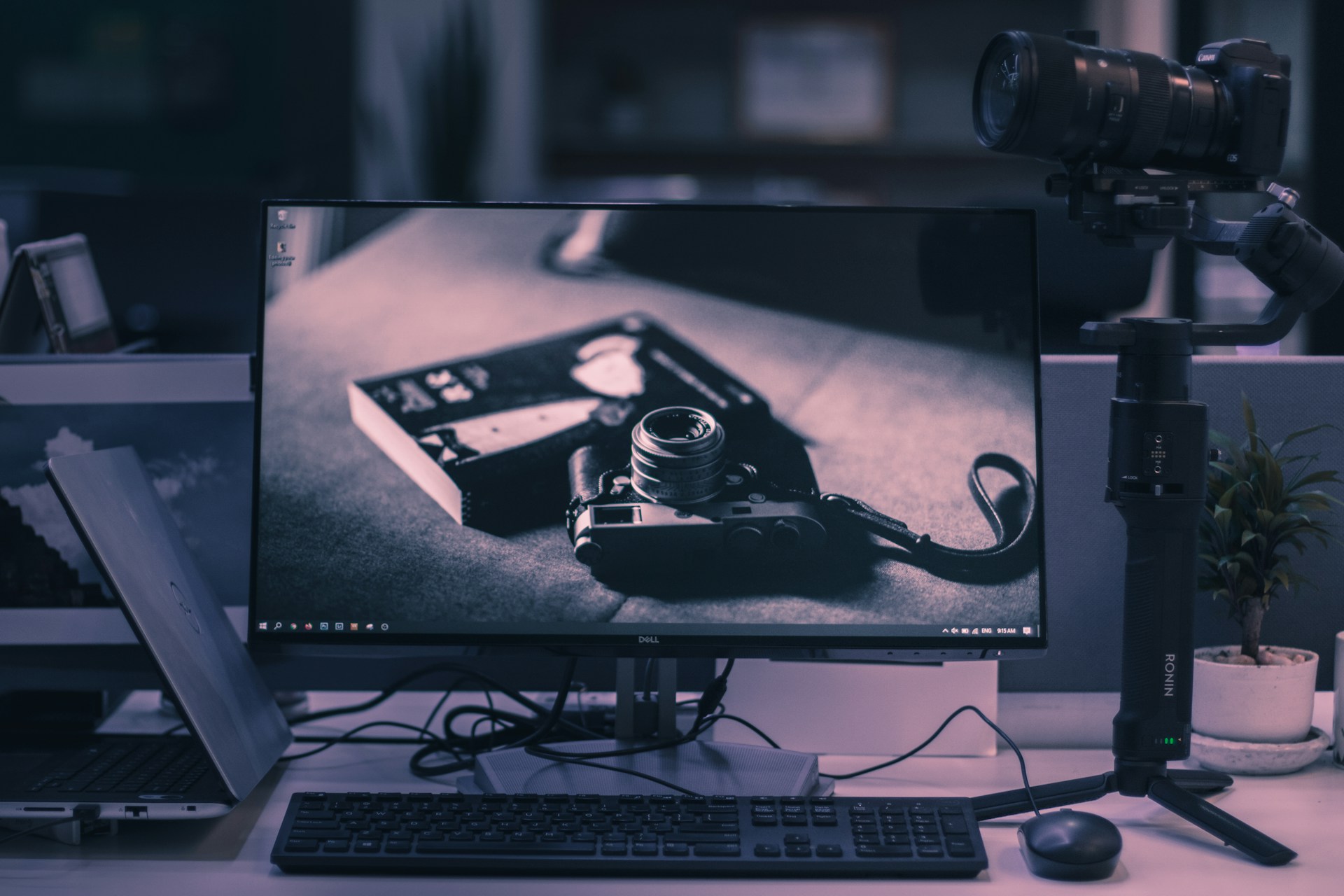 AI Editing vs Professional Editing Services: The 2026 Reality Check for Real Estate